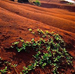《魔兽》30周年直播活动宣布将在11月举行